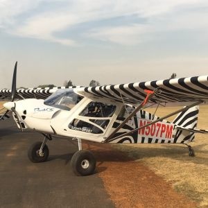 Rainbow Sky Reach Bushcat